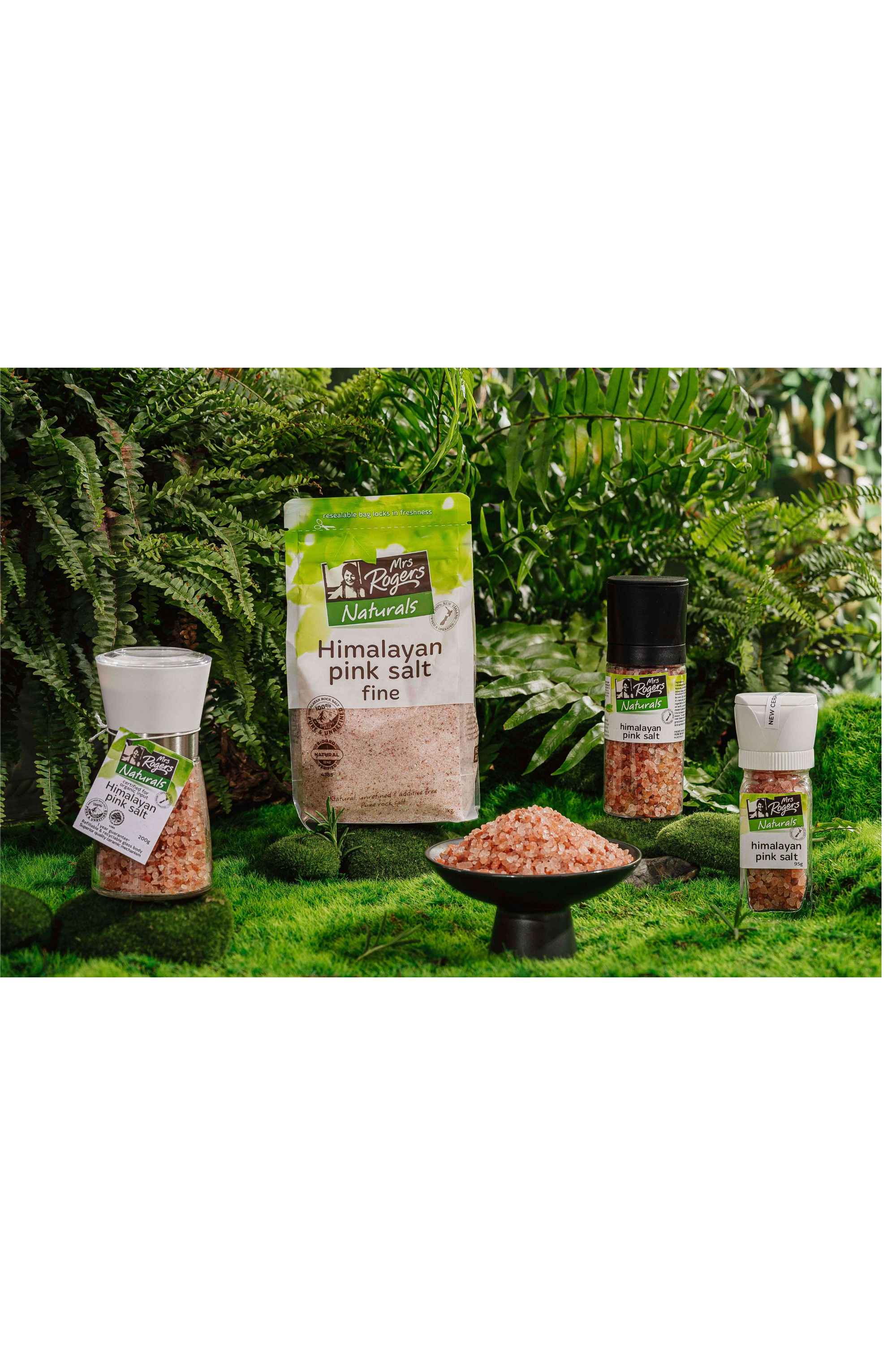 Mrs Rogers 罗杰斯太太