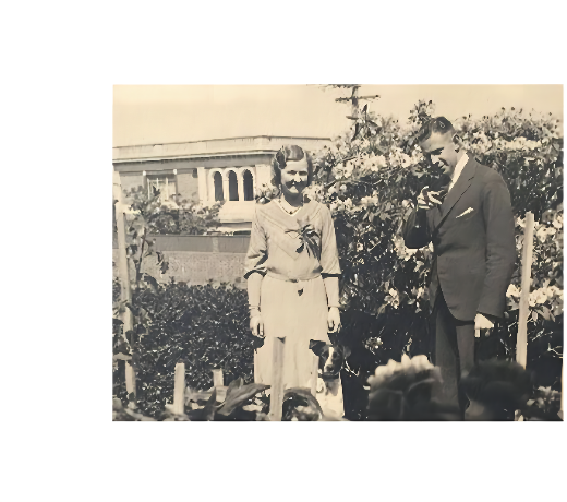 Mrs Rogers 罗杰斯太太